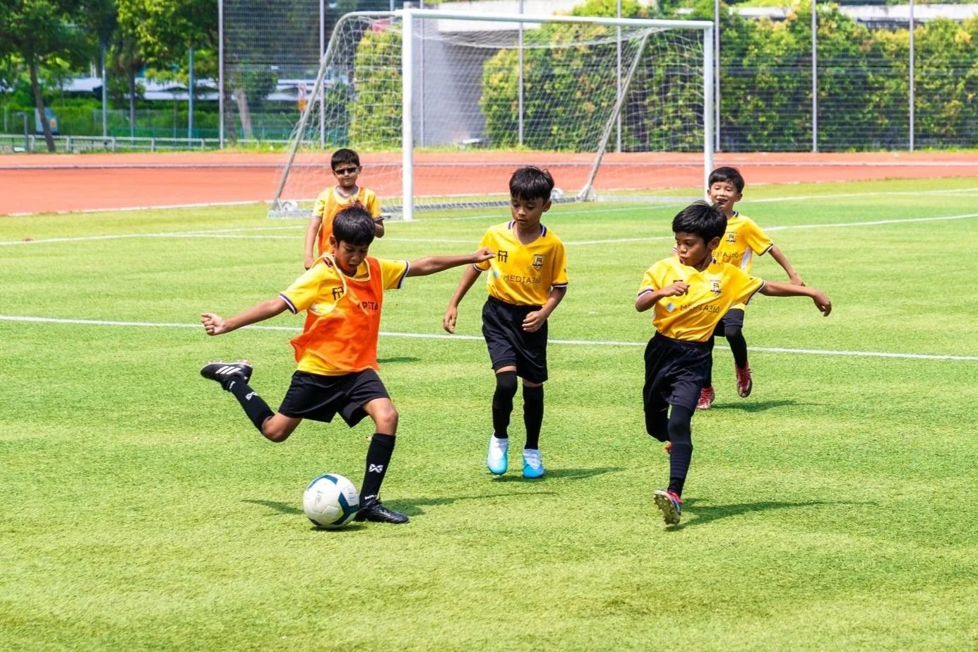 Development Programme at F17