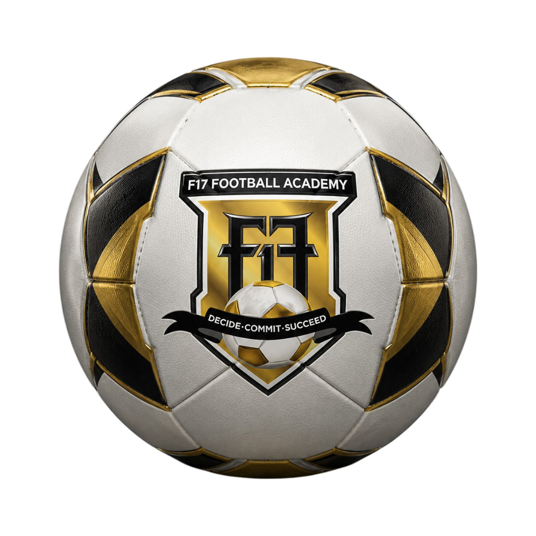 F17 football icon
